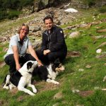 der hundeprofi unterwegs teil 1