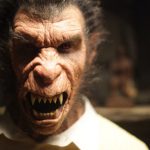 grimm staffel 1