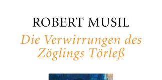 verwirrungen des zoeglings toerless robert musil