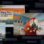 bild papagei social media
