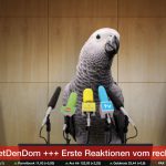 bild nachrichtensprecher papagei