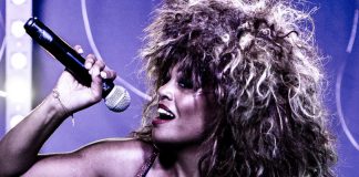 one night of tina by bonnie britain
