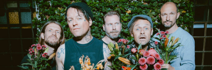 Donots donots by danny koetter
